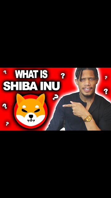 What Is Shiba Inu!? 1 MINUTE BREAKDOWN!