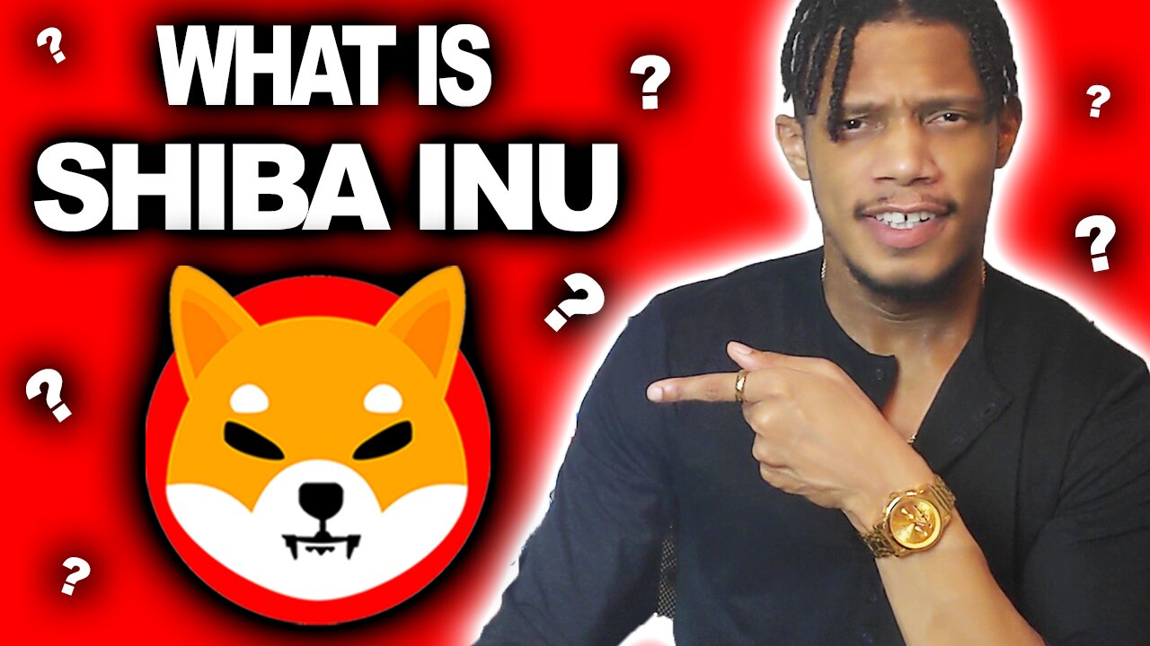 What Is Shiba Inu!? 1 MINUTE BREAKDOWN!