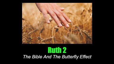 RUTH 2: "The Bible & The Butterfly Effect"