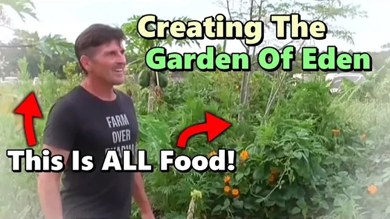 The MOST Ultimate To-Be Garden-Zoo-School-Resort - Tour Of Jim Gale's Food Forest In Galt's Landing