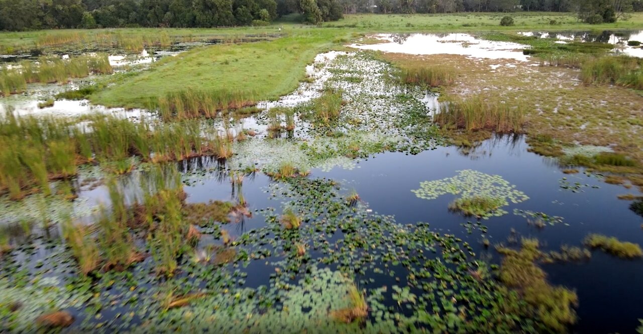 Fishing The Marsh