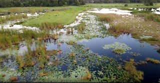 Fishing The Marsh