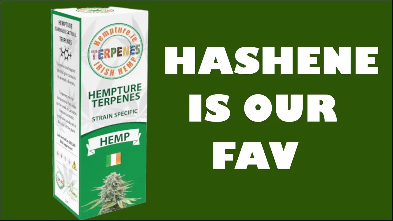 Educating you on HASHENE terpene