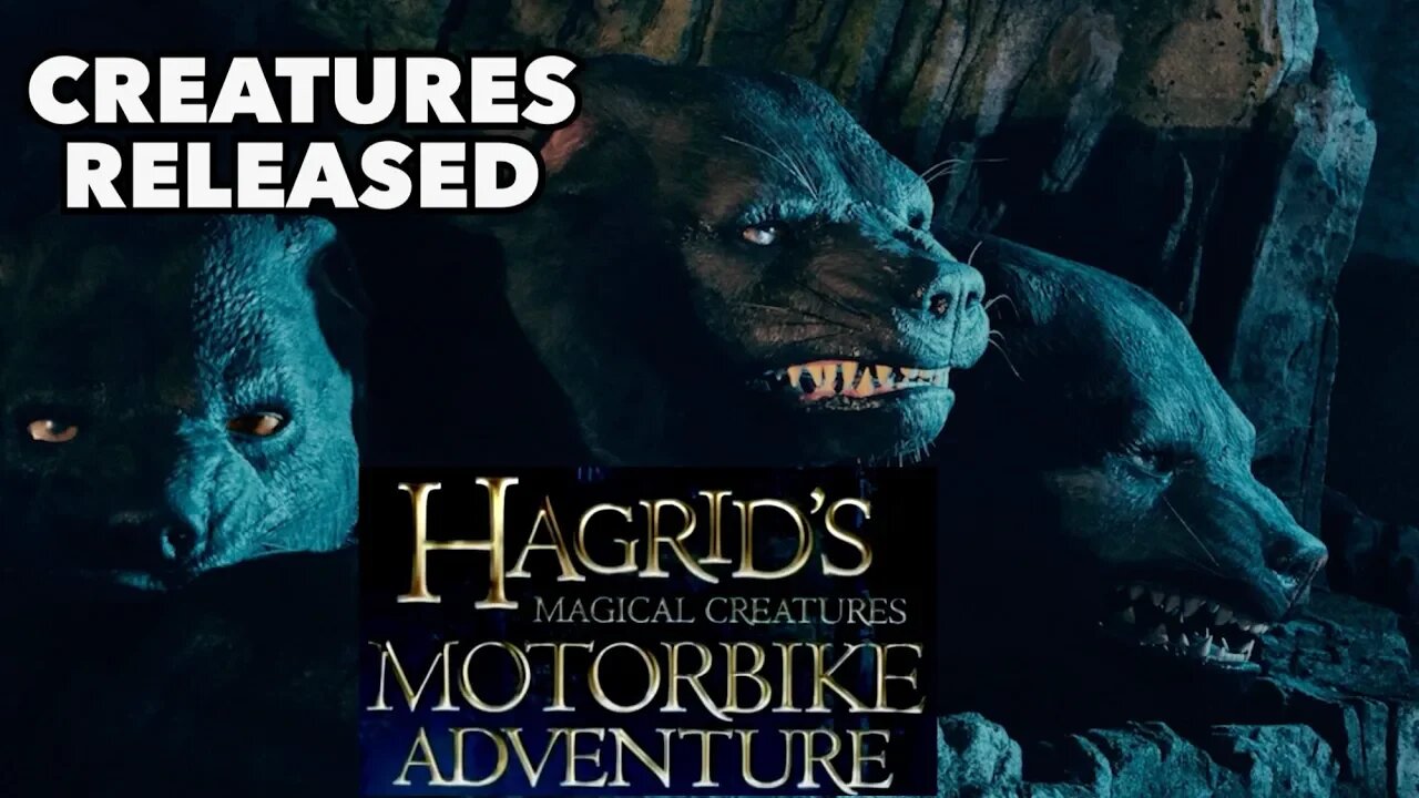 Hagrid's Magical Creatures Motorbike Adventure - List of Creatures W/PICS