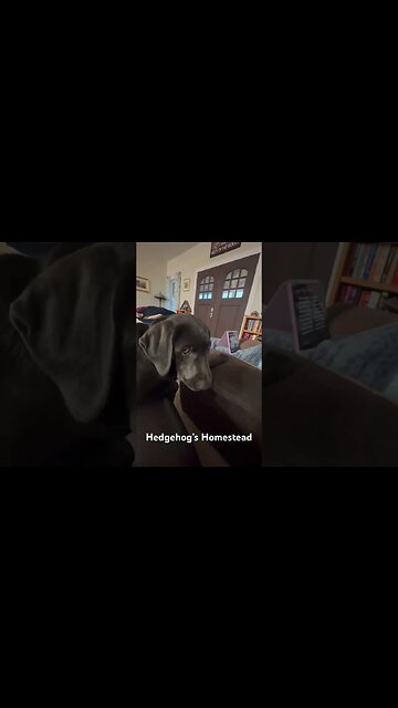 Elroy’s got something to say