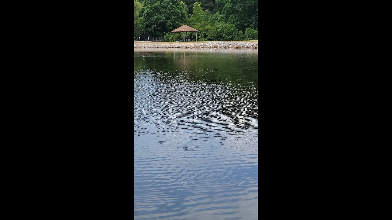 Blalock Reservoir-Clay County