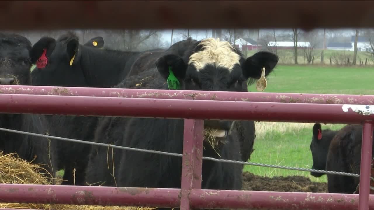 Local farmers begin spring planting about a month earlier than usual this year