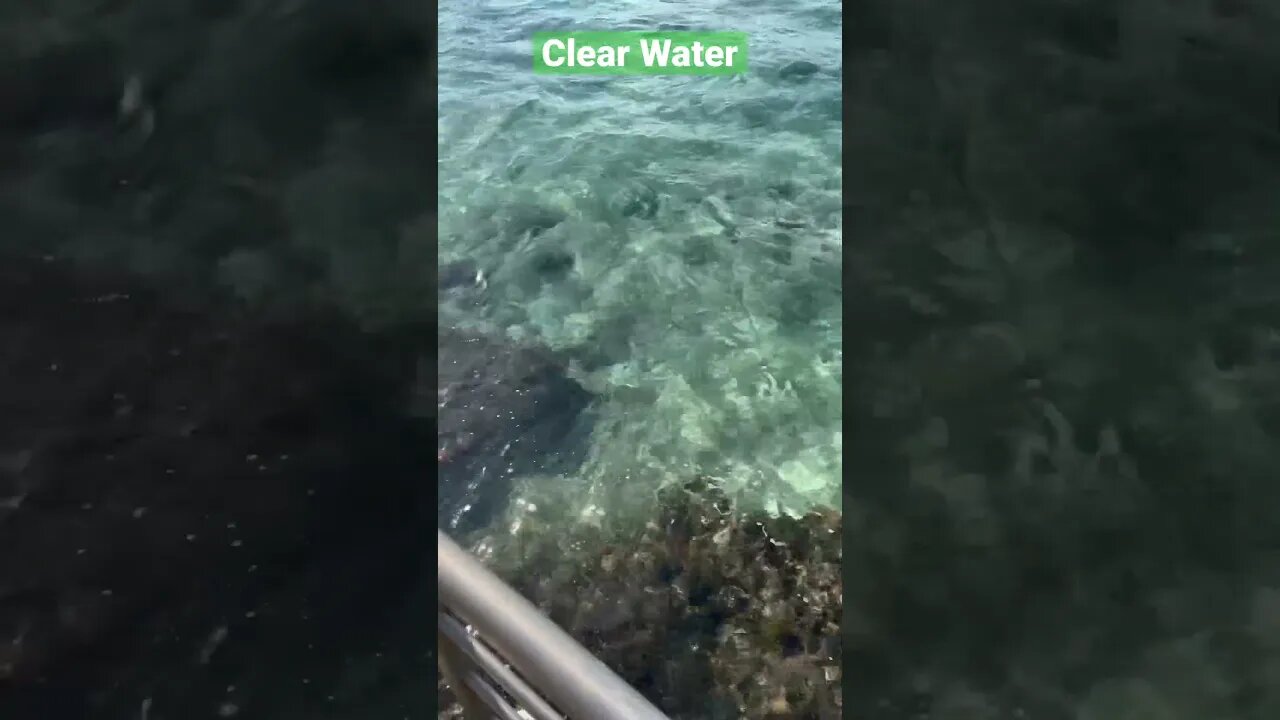 Crystal Clear Water In Cozumel #shorts