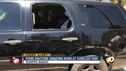 Purse snatcher targeting moms at Miramar Overlook Park