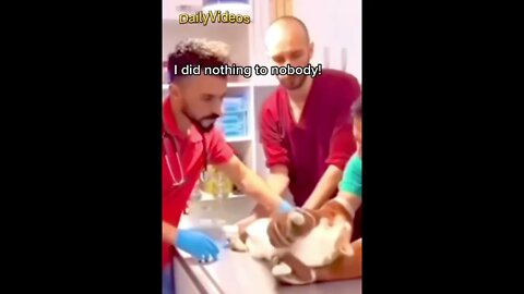 Best Voice - Over 🤣 #funny #funnymemes
