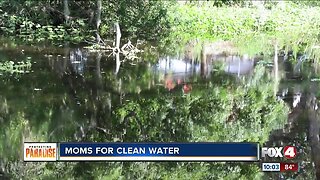 Moms for Clean Water