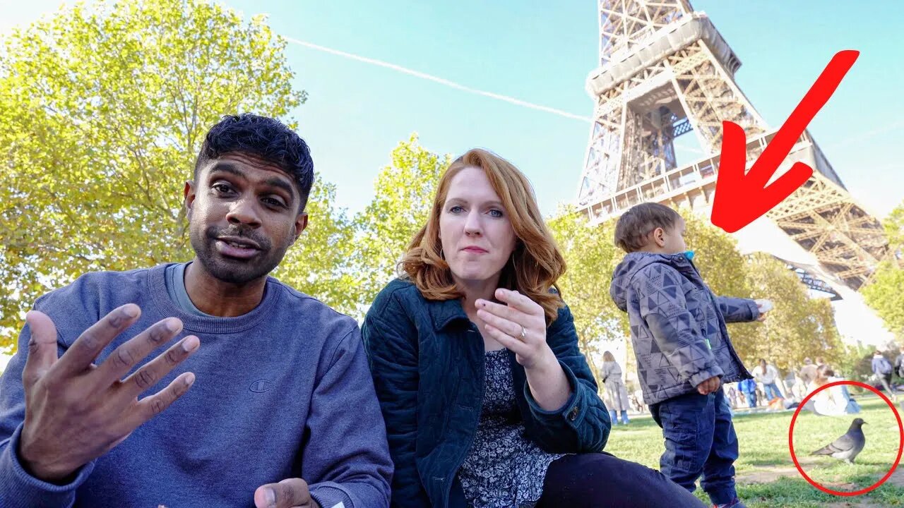 Picnic under the Eiffel tower gone wrong