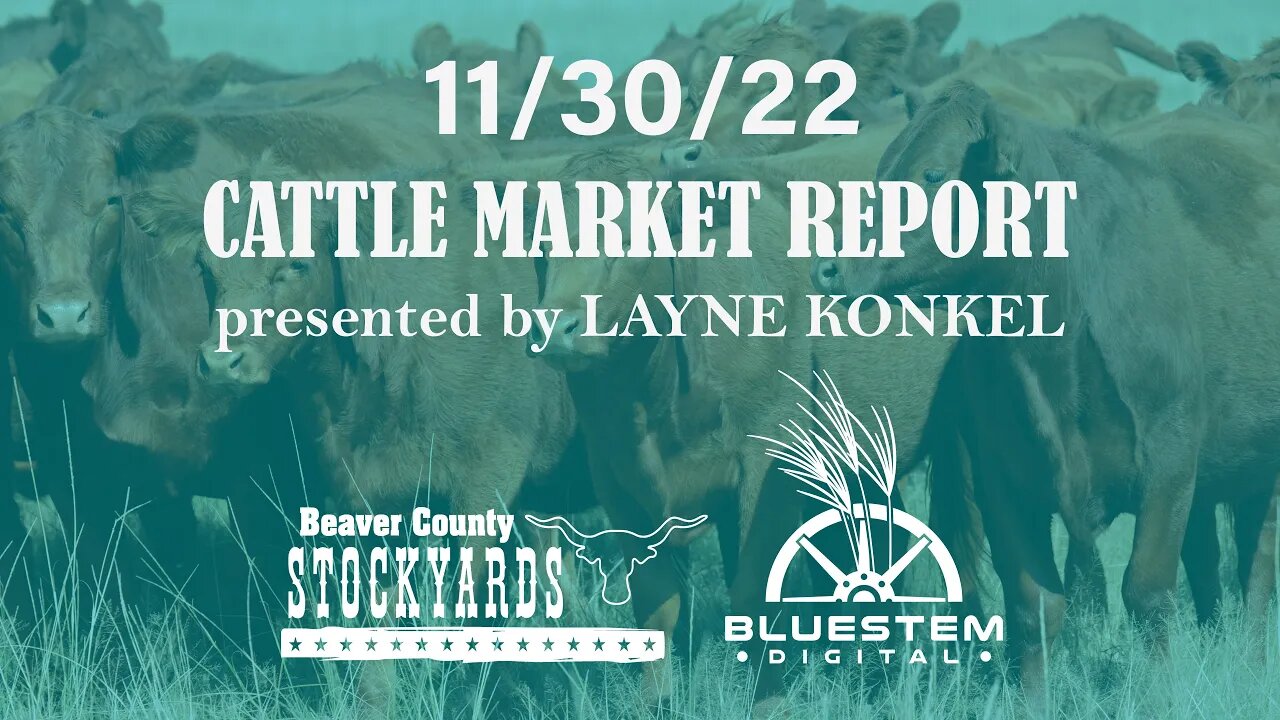 11/30/22 Beaver County Stockyards Cattle Market Report