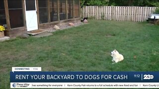 Homeowners can now rent their backyards to dogs