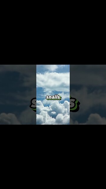 87,000 Snails #whatif #funny #trendingshorts