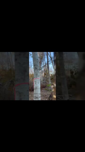 Hurricane Fiona Damage