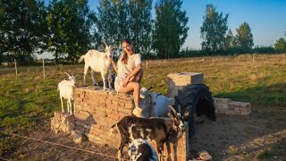 Goats FINALLY have a Playground!