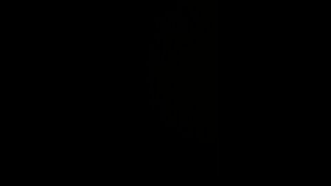 BioNTech mRNA vaccine 💉