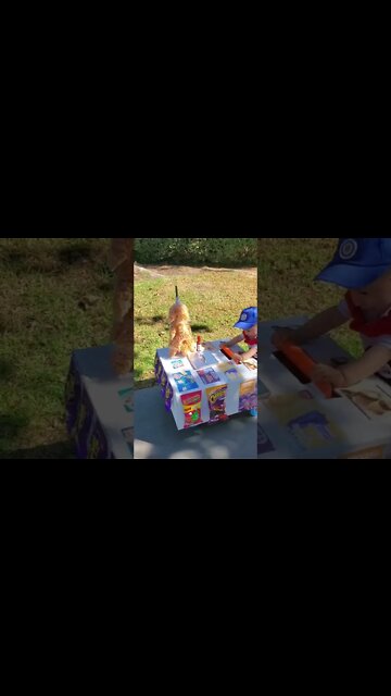 Best Videos Of Funny Twin Babies Compilation - Twins Baby Video. #2022 Happy New Year