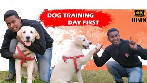 Dog training video