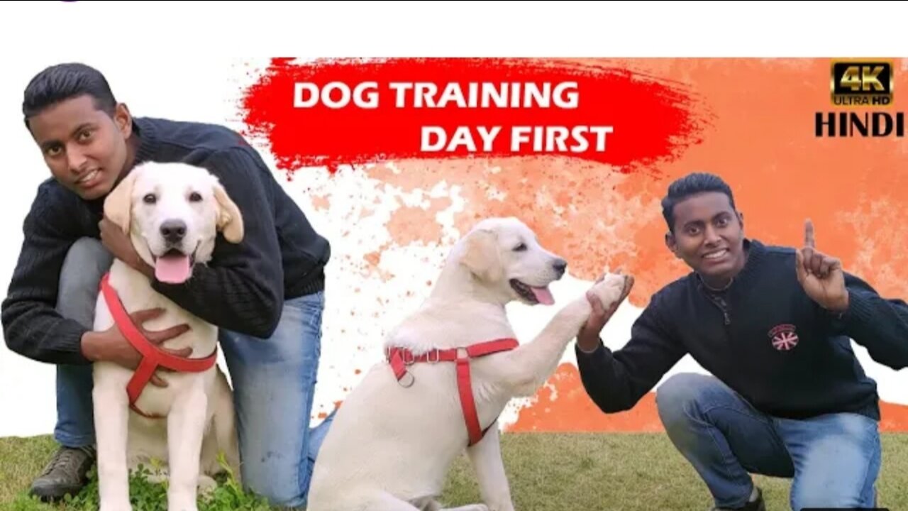 Dog training video