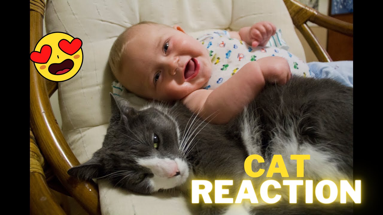 Cats Meeting Babies for the FIRST Time [NEW] Compilation