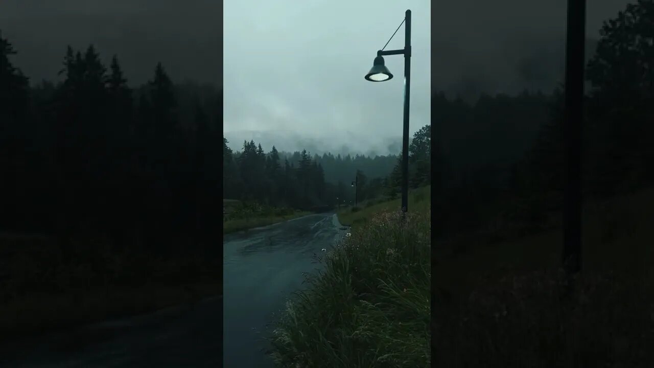 #nature #aesthetic #rain #darkaesthetic #twilight