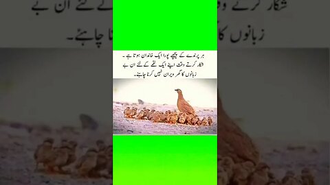 Urdu quotes Golden-Word #shorts #quotes #motivational #motivation