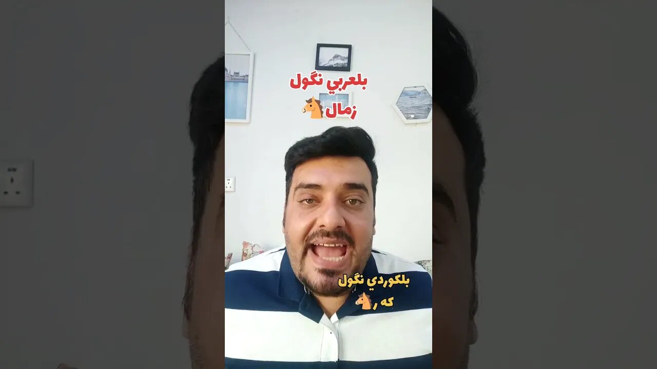 زمال 🐴 بلكوردي وبلتركماني ؟