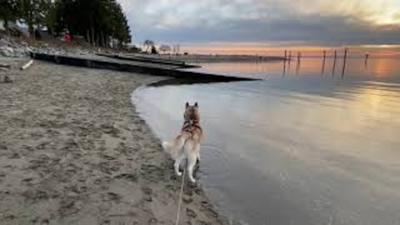 blues music relaxing view ocean at sunset great relaxing blues music