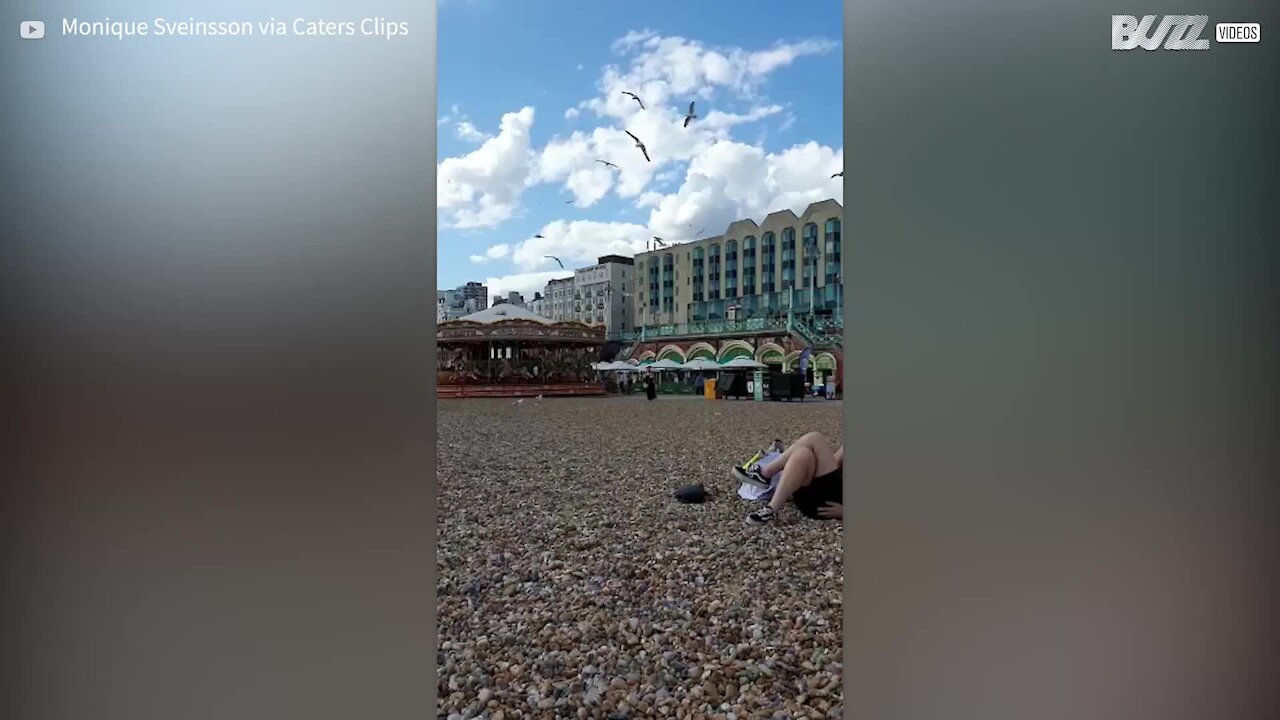 Gaivotas atacam senhora na praia