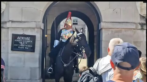 Tourist's get a rude awakening from the kings guard #horseguardsparade