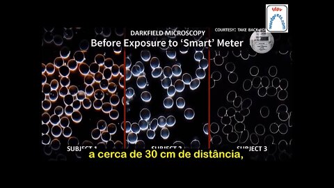 5G ALERT - ALERT FOR HUMANITY