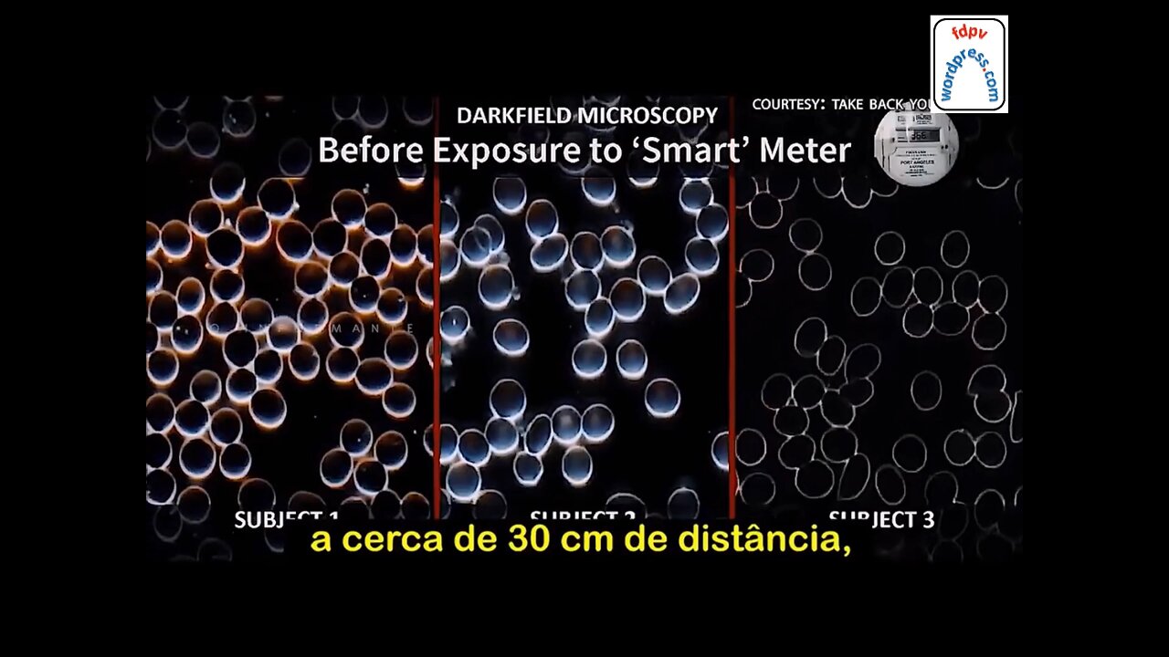 5G ALERT - ALERT FOR HUMANITY