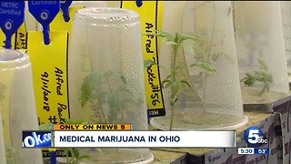 First steps towards Ohio's medical marijuana happening in cultivation facilities across the state