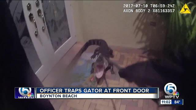 Boynton police officer captures alligator