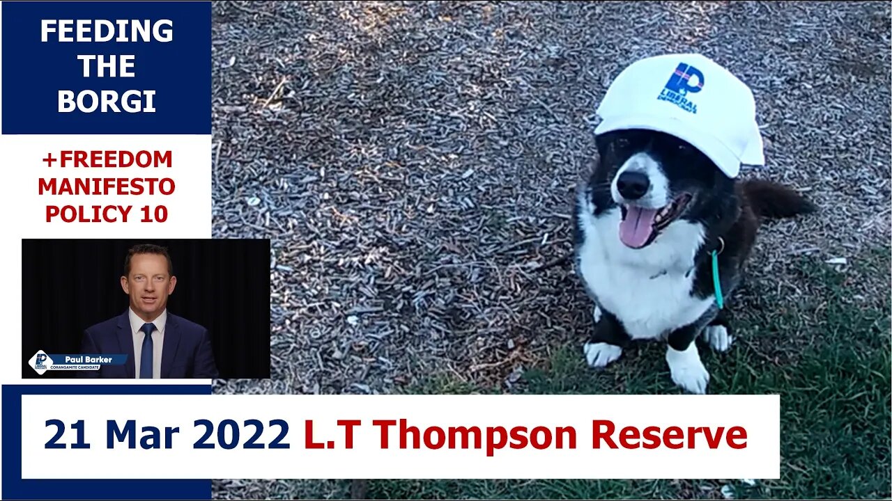 5:30pm 21 Mar 2022 - Feeding the Borgi (+ LibDem Policy 10): L.T Thompson Reserve, Essendon