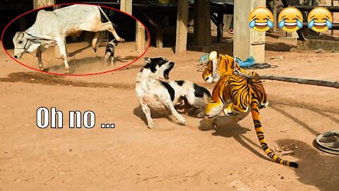 Fake Tiger Prank Dog So Funny - Try to Not Laugh All Challenge Fake Tiger Prank Dog