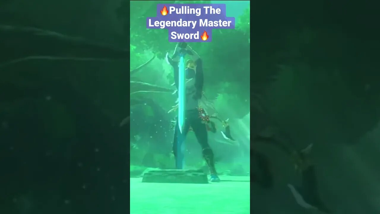 The Legend of Zelda: Breath of the Wild: The Legendary Master Sword