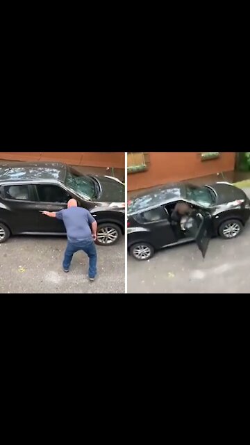 Brave man releases bear trapped in his car