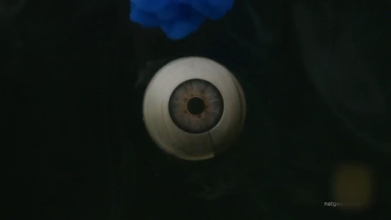 Is the color in your eyes real?