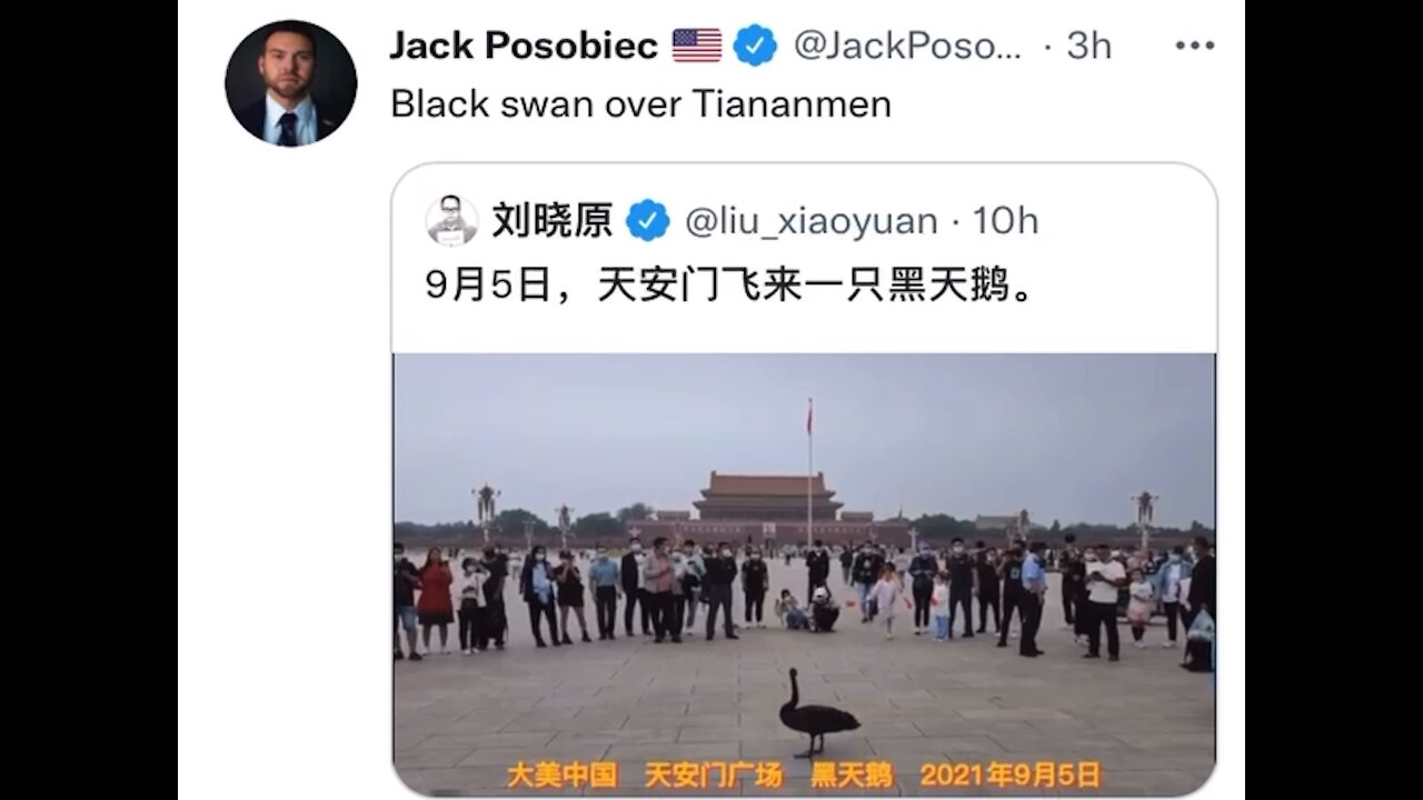 Black swan in China. A warning sign?