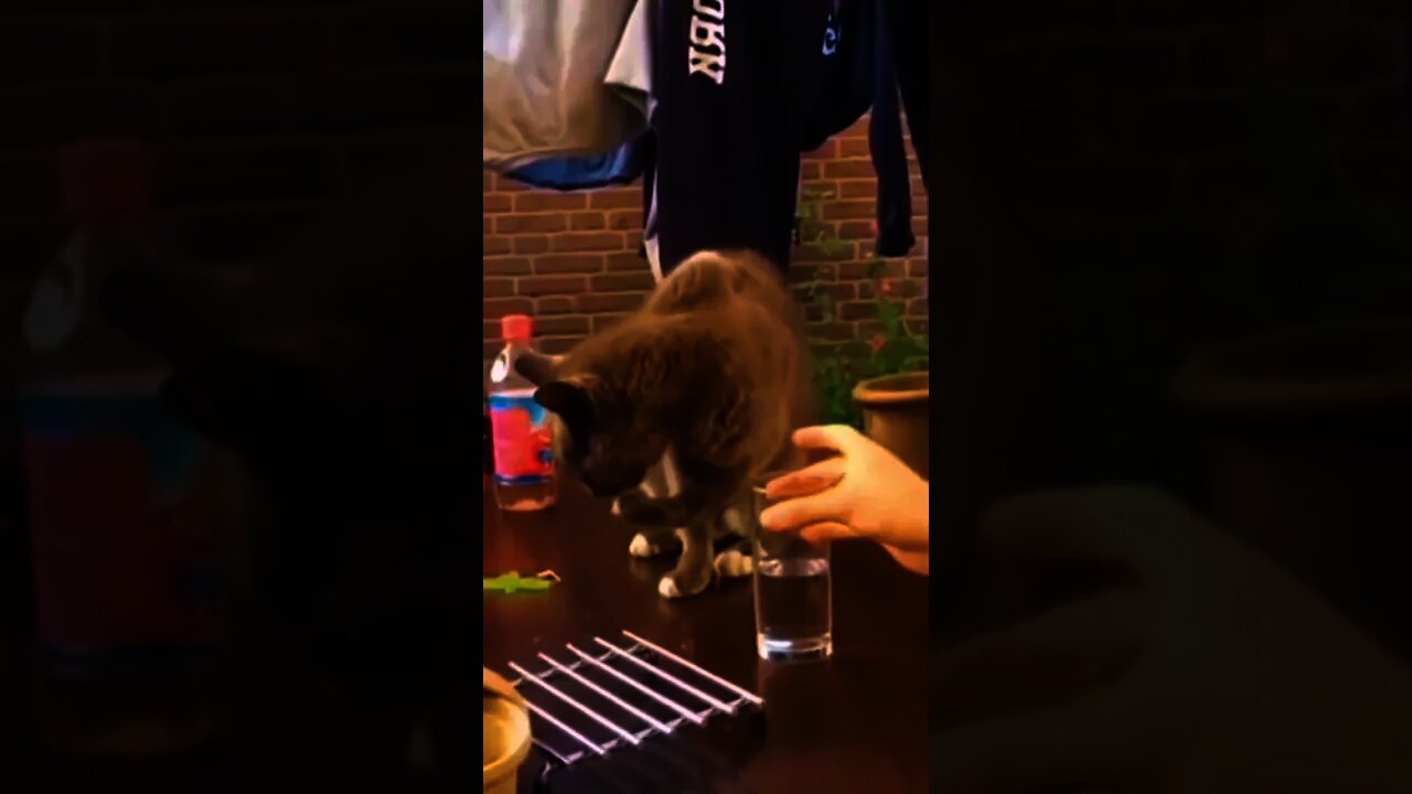 Hey! What just happened here?! Part #2😂😂