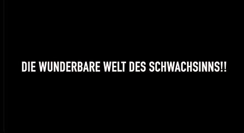 Die Wunderbare Welt des Schwachsinns 01