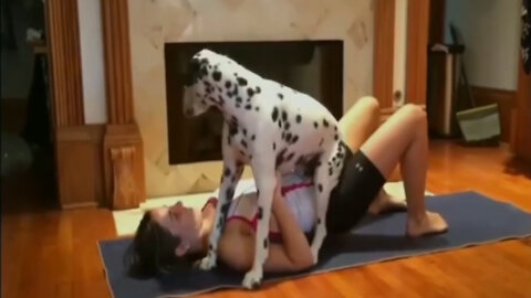 funny yoga Training Dogs