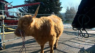 Canada Ag Days | Thursday, March 16, 2023 | Angela Stewart | Bridge City News