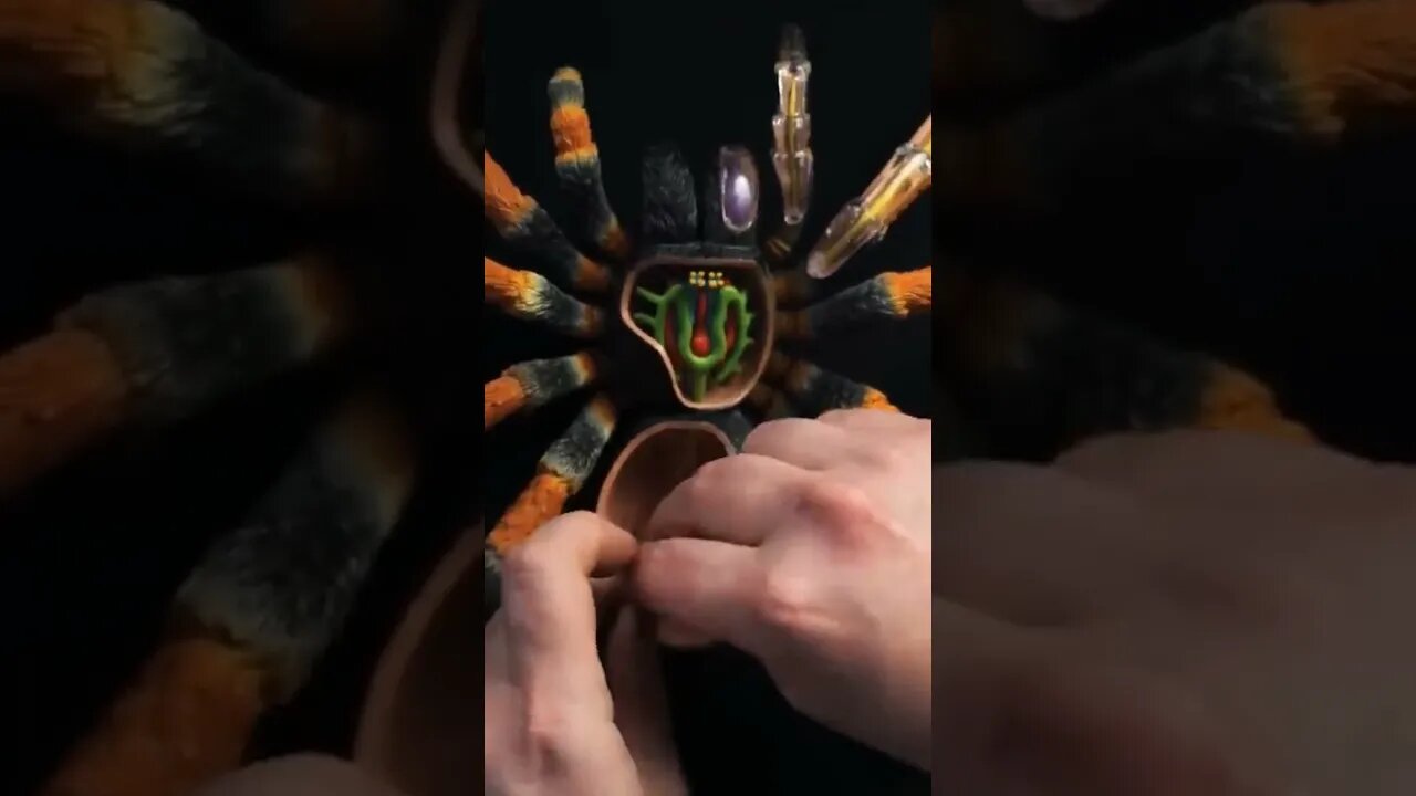 Let's Put Together a TARANTULA!