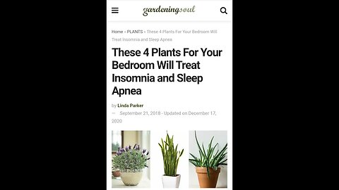 These Four Plants Will Treat Sleep Apnea