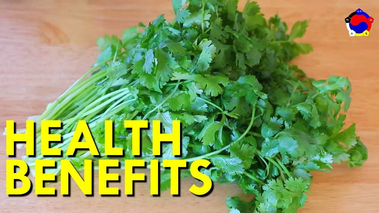 Health Benefits Of Cilantro (Coriander)