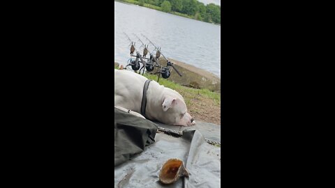 Bit of fishing with my boy